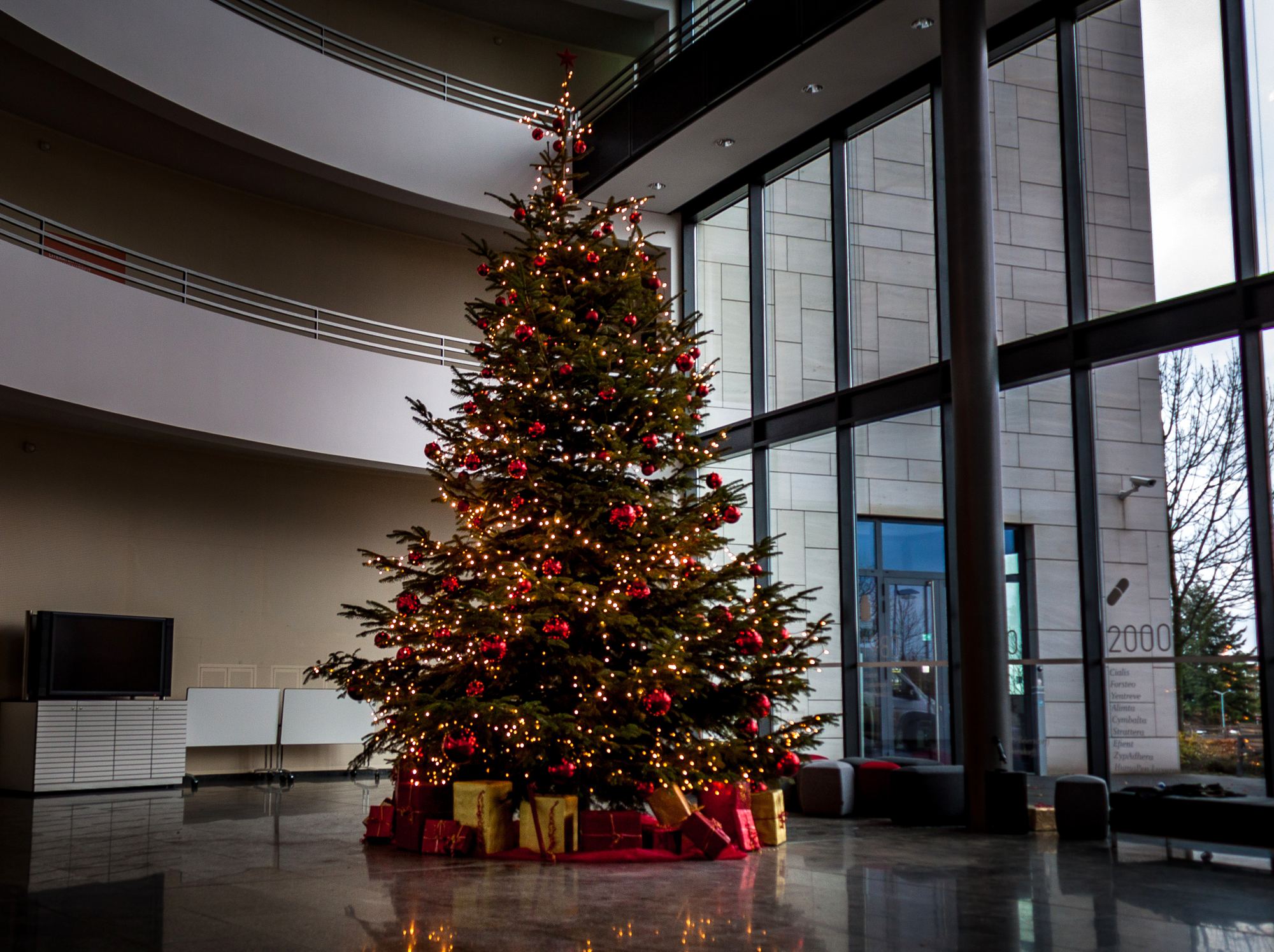 Geschmückte Nordmanntanne mit roten Kugeln und Lichterketten im Atrium eines Bürogebäudes