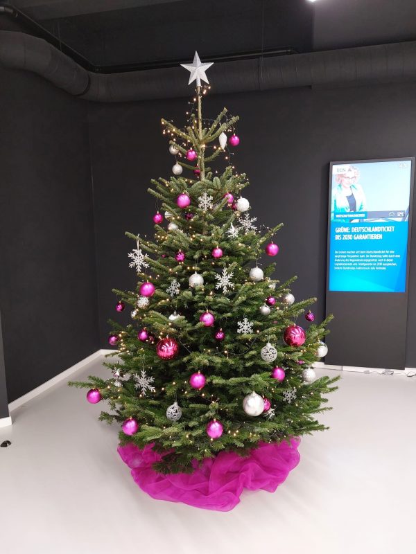 2,5m magenta-silber