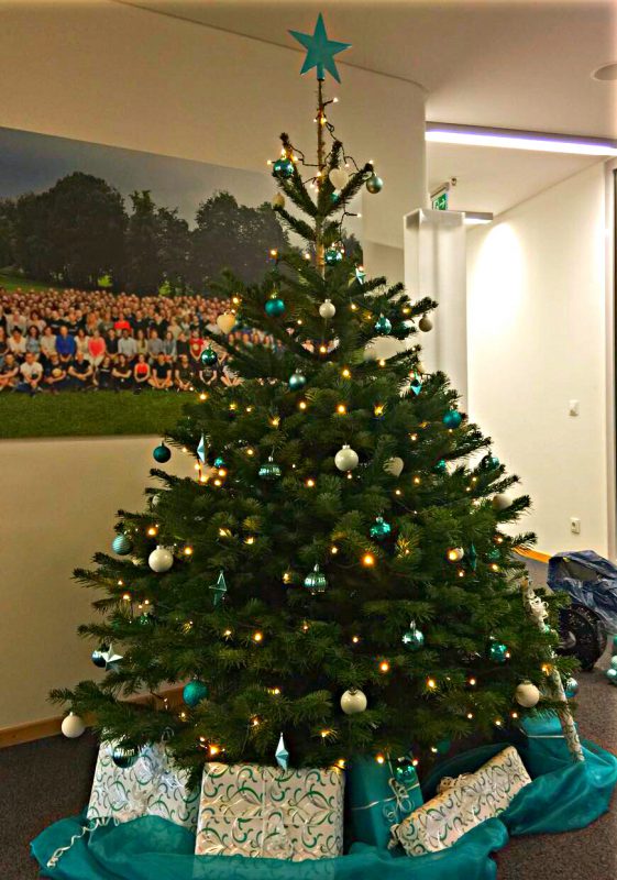 2m Türkis-Weiß-Silber