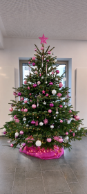Pink-Weiß-Silber