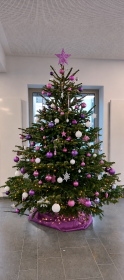 Lila-Pink-Weiß