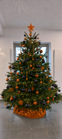 Orange-Schwarz