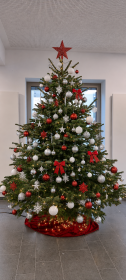 Rot-Weiß-Silber